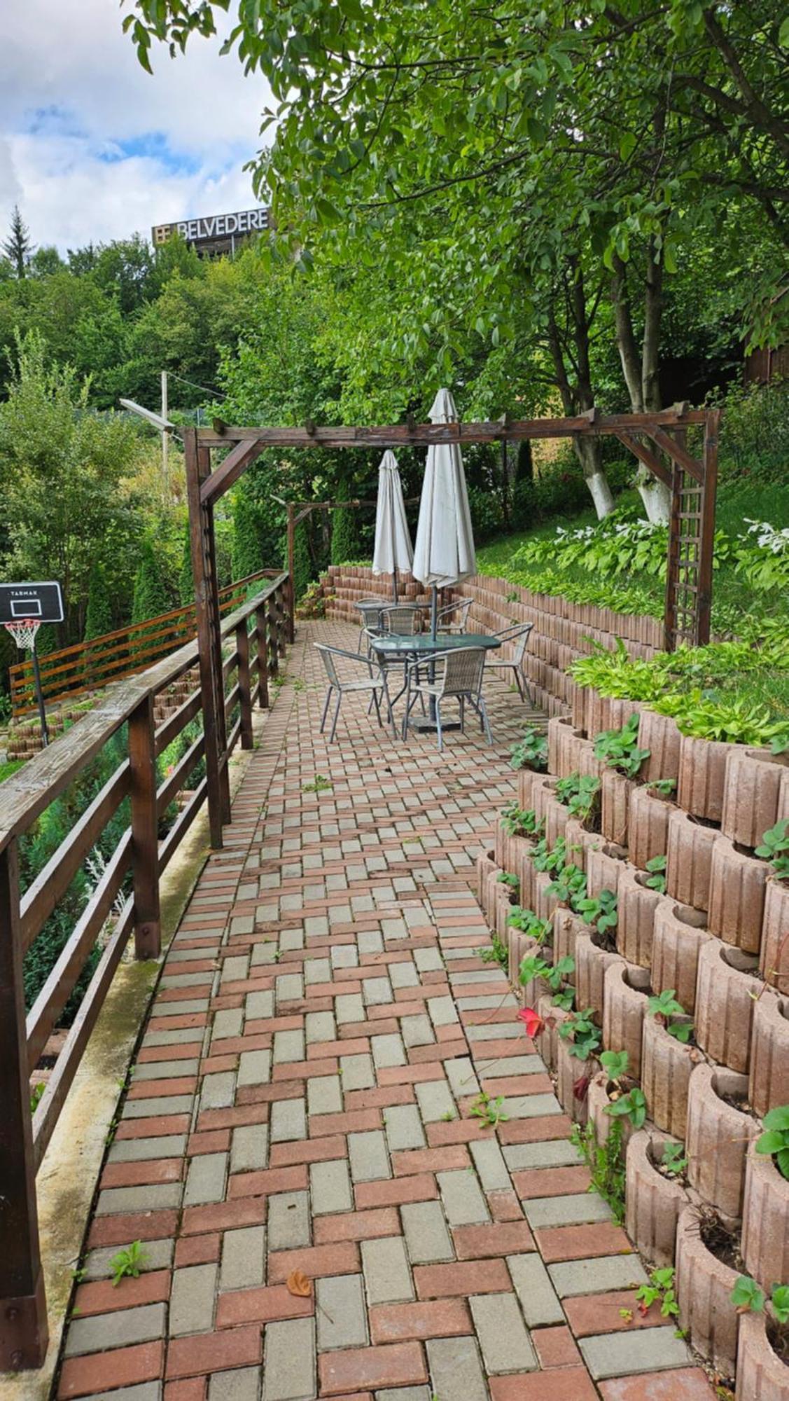 Homestay Matei